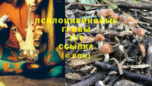 прущая мука Володарск