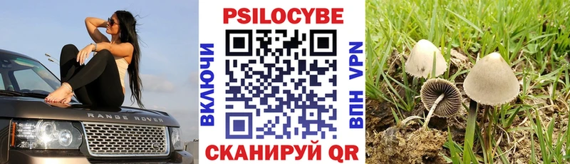 Галлюциногенные грибы MAGIC MUSHROOMS  где купить наркотик  Харабали 